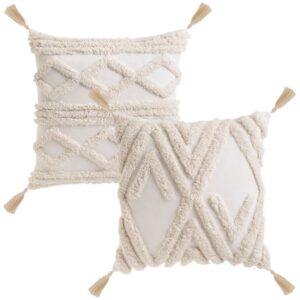 COJÍN 2/M POLIALGODÓN NATURAL 45 X 45 CM